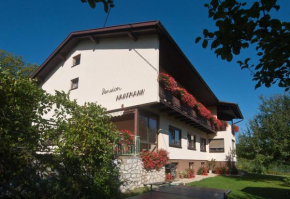 Отель Pension Hartmann  Санкт-Канциан-Ам-Клопайнер-Зее
